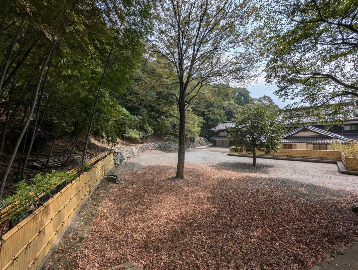観音山 往復コースの写真