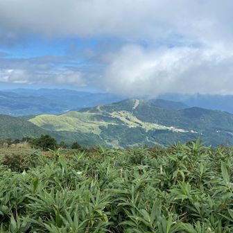 山頂からの鉢伏高原