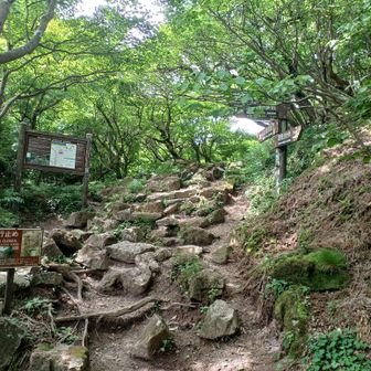 ベンチで休憩
右へ行けば普賢岳山頂だが…
今日のチームは左へ行く
