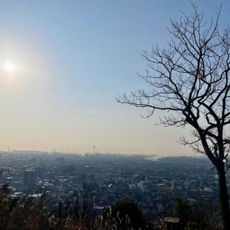 ☀️✨
黄砂かなぁ…