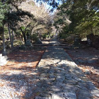 やっぱり参道がカッコいい