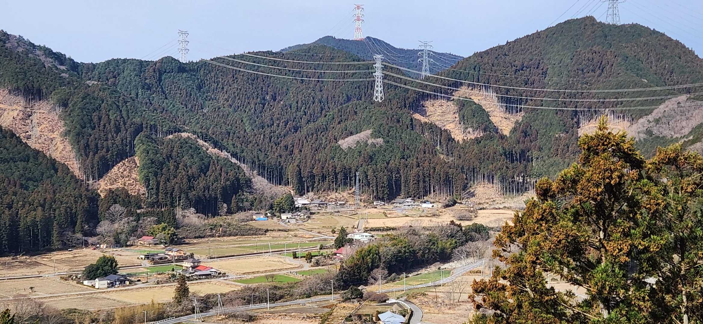 落ち着いたところで写真