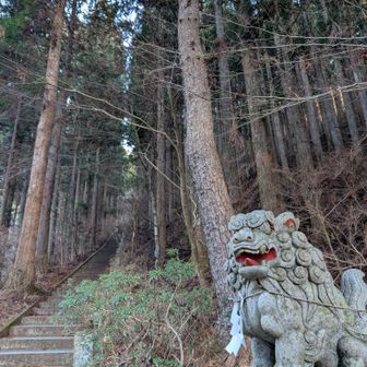 出だしから見上げる階段