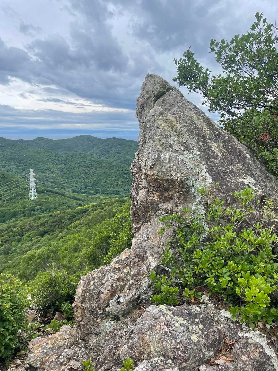 物見山-雨乞山 往復コースの写真