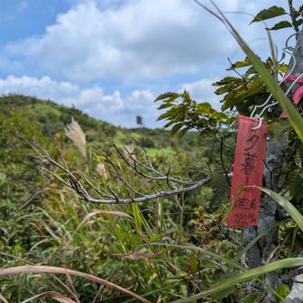 夕暮山、登頂！
向こうはさっきの反射板