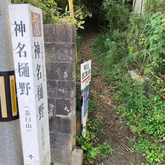 西口登山口

YAMAPでは茶臼山
ですが（　）書きになってる🤭

正式には
神名樋野（かんなびぬ）

神々の国らしい
名前

調べてみると…

神名樋（かんなび）とは
神々が降臨・鎮座する
霊山や聖地のことだとか