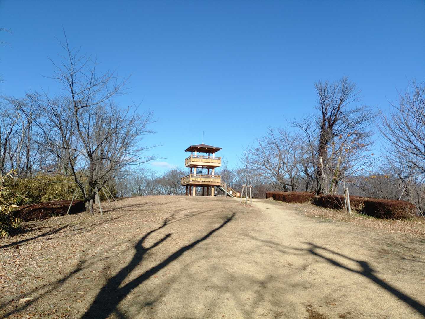 庚申山-ふじふれあい館 周回コースの写真