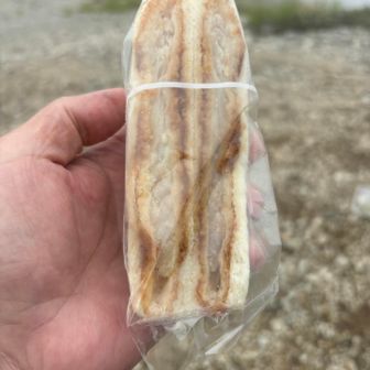 朝、サンダーバード寄ったらまだ🍙がなくて、サンドイッチ買ってきたちゃ😅