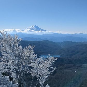 こよた