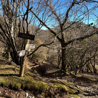 天城峠まで約6キロ