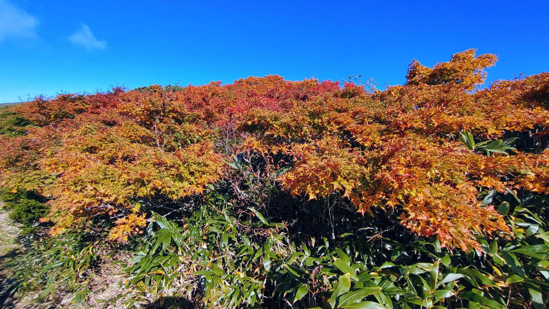 現場に来ました🍁