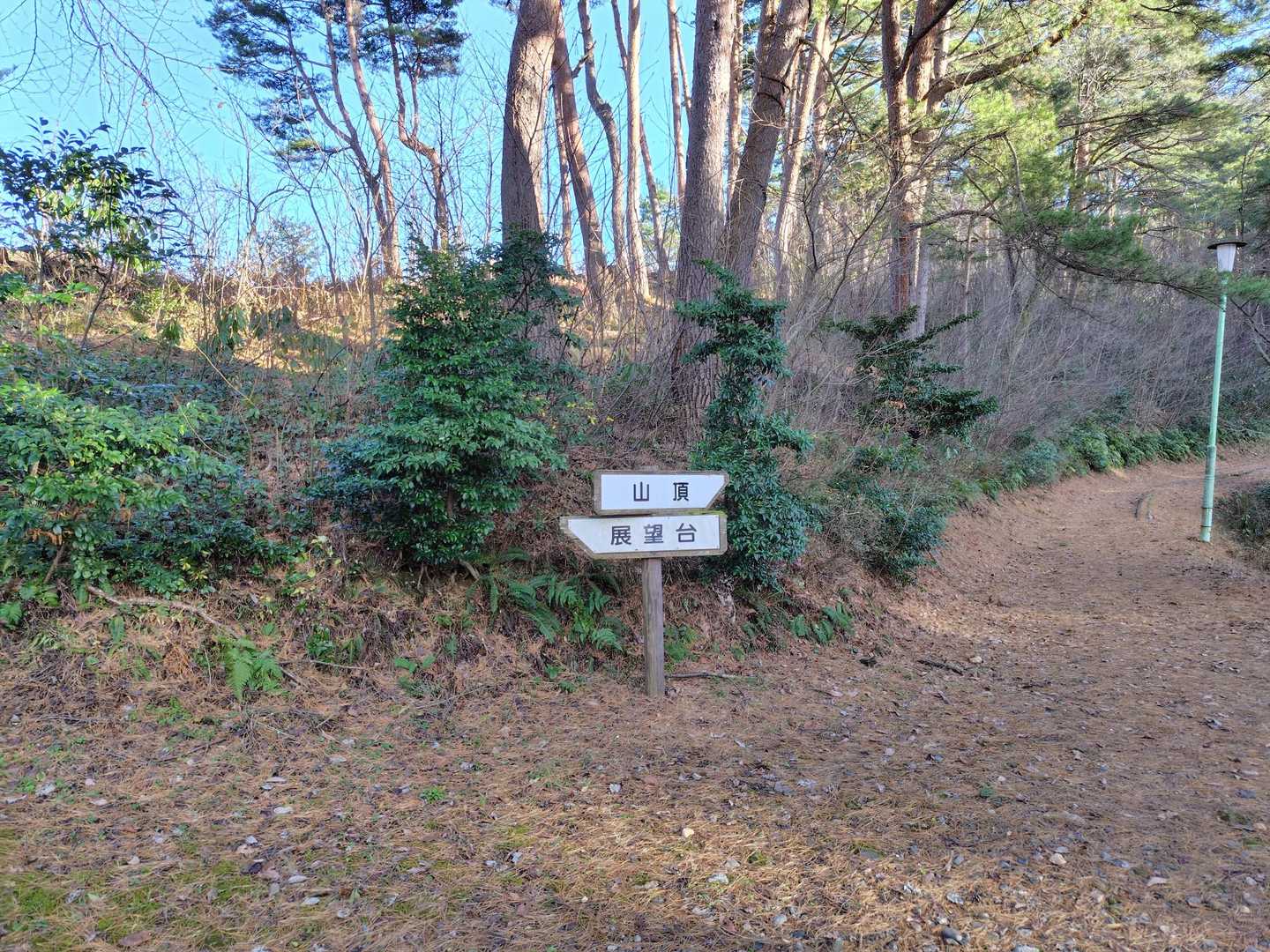展望台へ