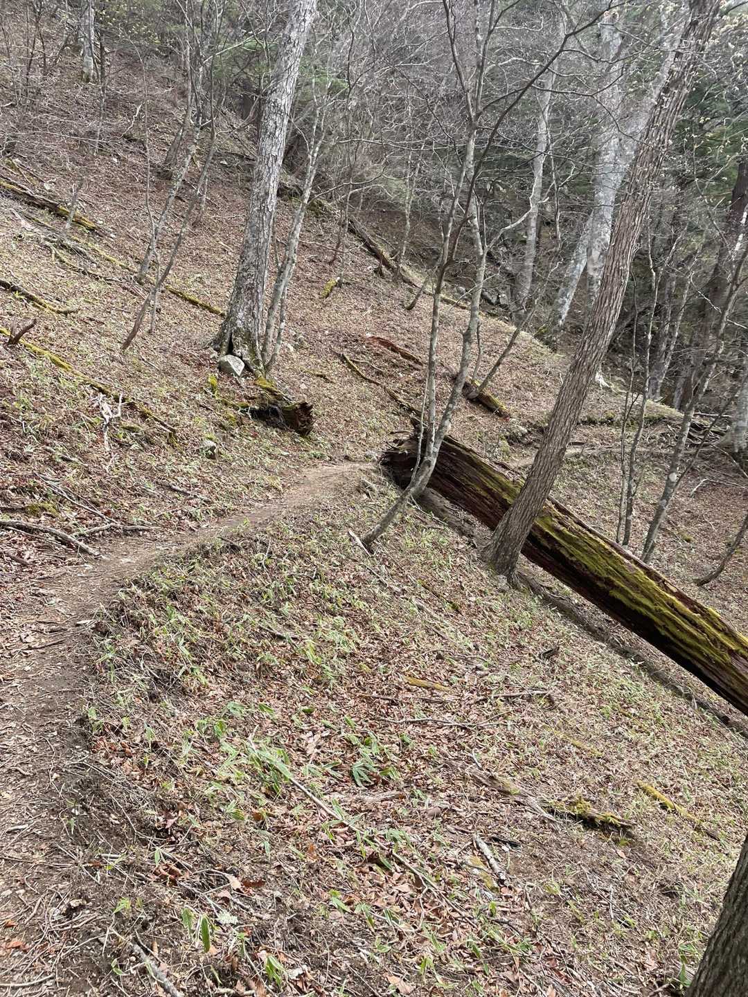 高山 周回コースの写真