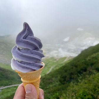 締めに🍦🫐