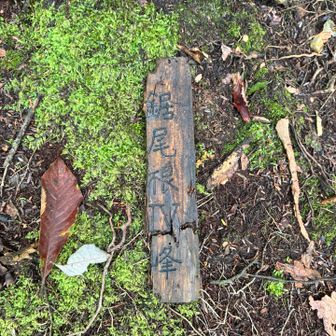 よんほー（Ⅳ峰）さん、探したぞ。バラバラになって裏返って落ちてました。元に戻してあげました😁
