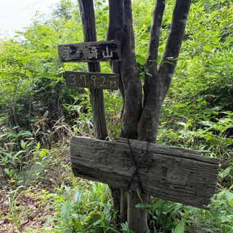 萱ヶ崎山