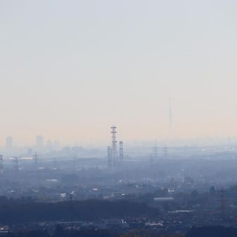 スカイツリーが霞んで見えました。