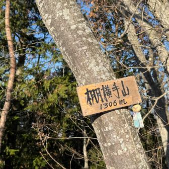 ココにも てるてる坊主