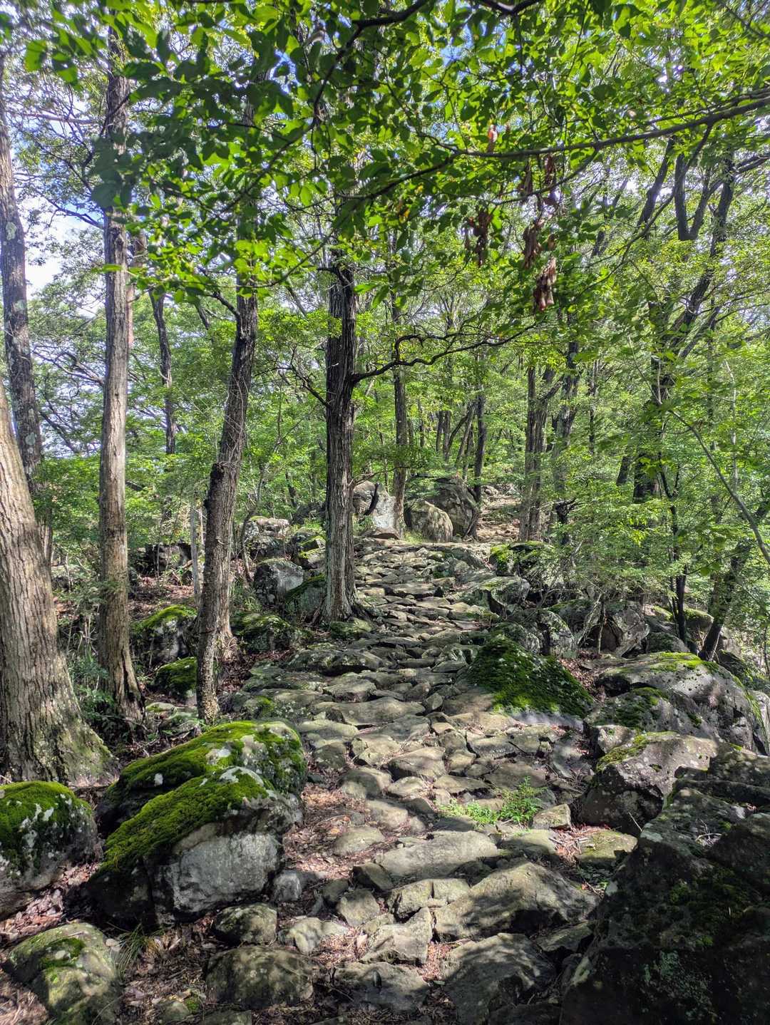 太陽出てきて少し暑い☀
爽やかな風がときおり吹く🌿
