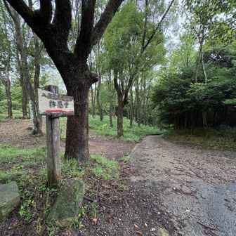 広場に出たが大原山山頂が分からず😅