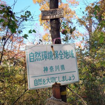 そして今度はメス♀の方へ。
メスのお山の登山口、とても分かりにくかったです😭