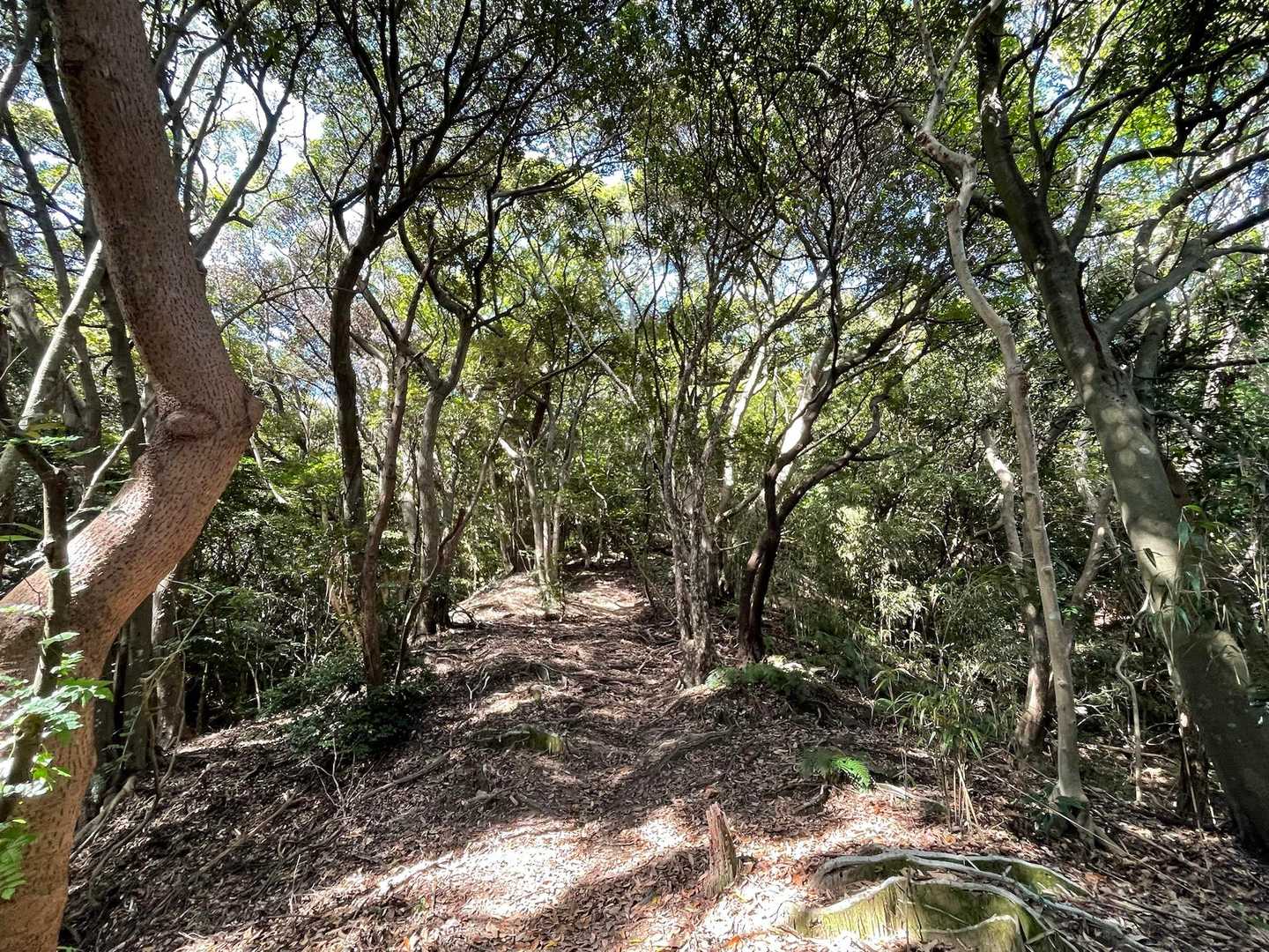 西福岡縦走路 | 景色の良い低山で手軽に縦走を楽しむの写真