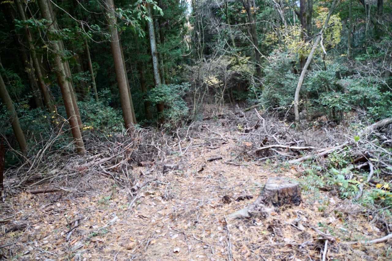 アラレが降り出したので退散