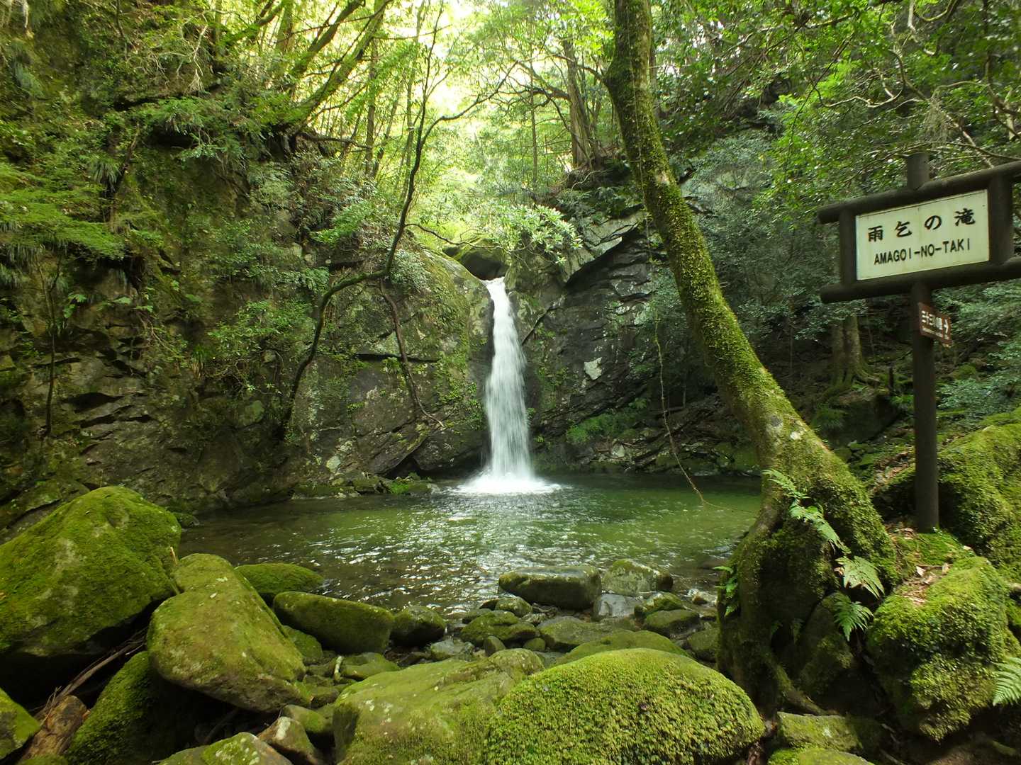 百間山 周回コースの写真