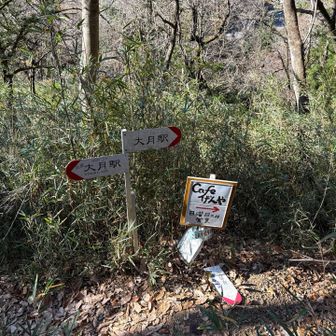 そろそろ登山道終了。右手にcafeあるみたい。惜しい！日曜日だけ営業だって。😓