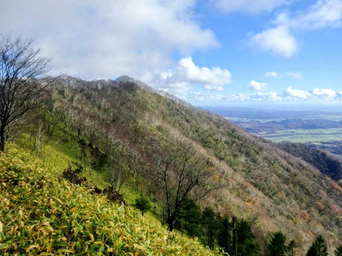 振り返って横山中岳⛰️