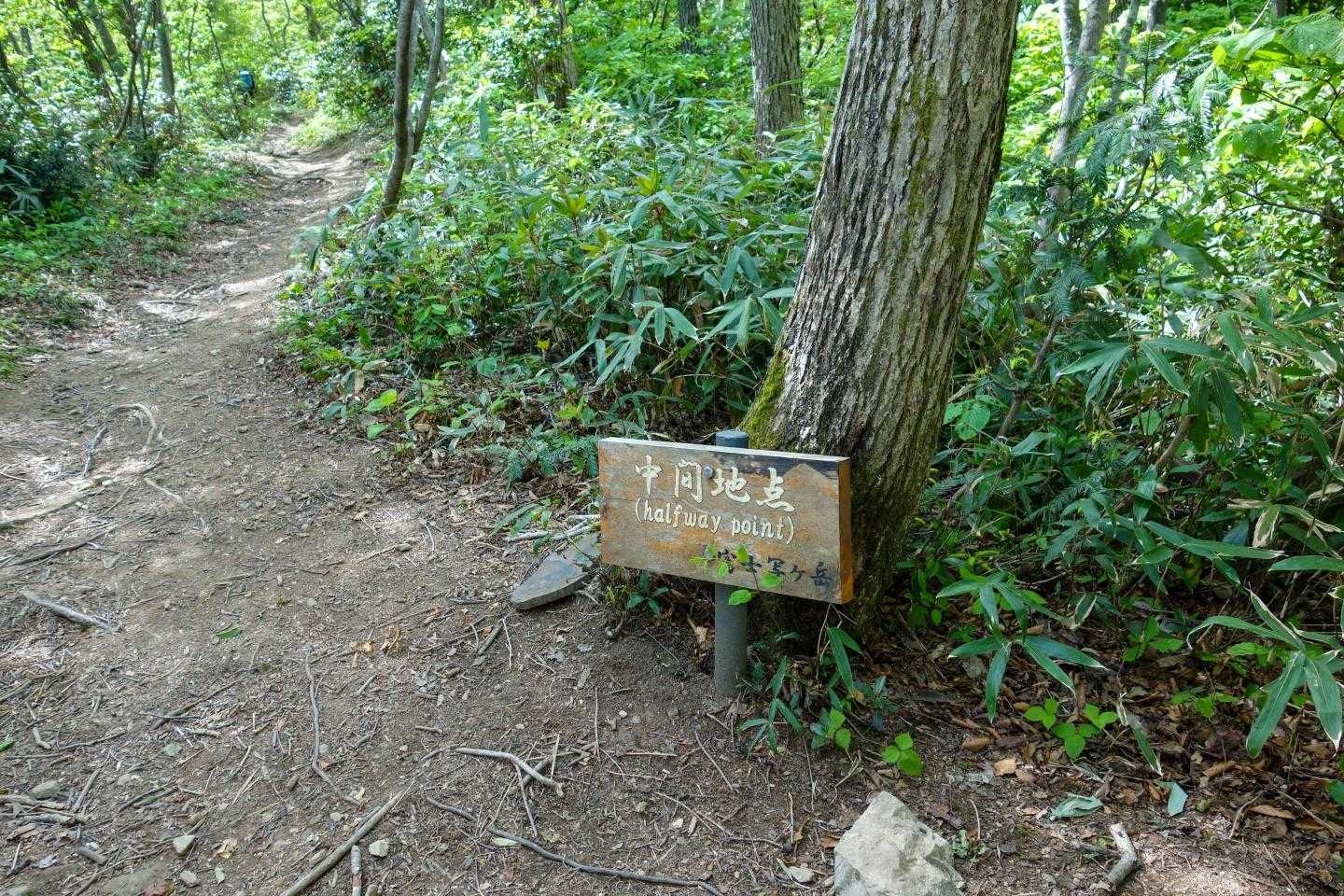 あと半分