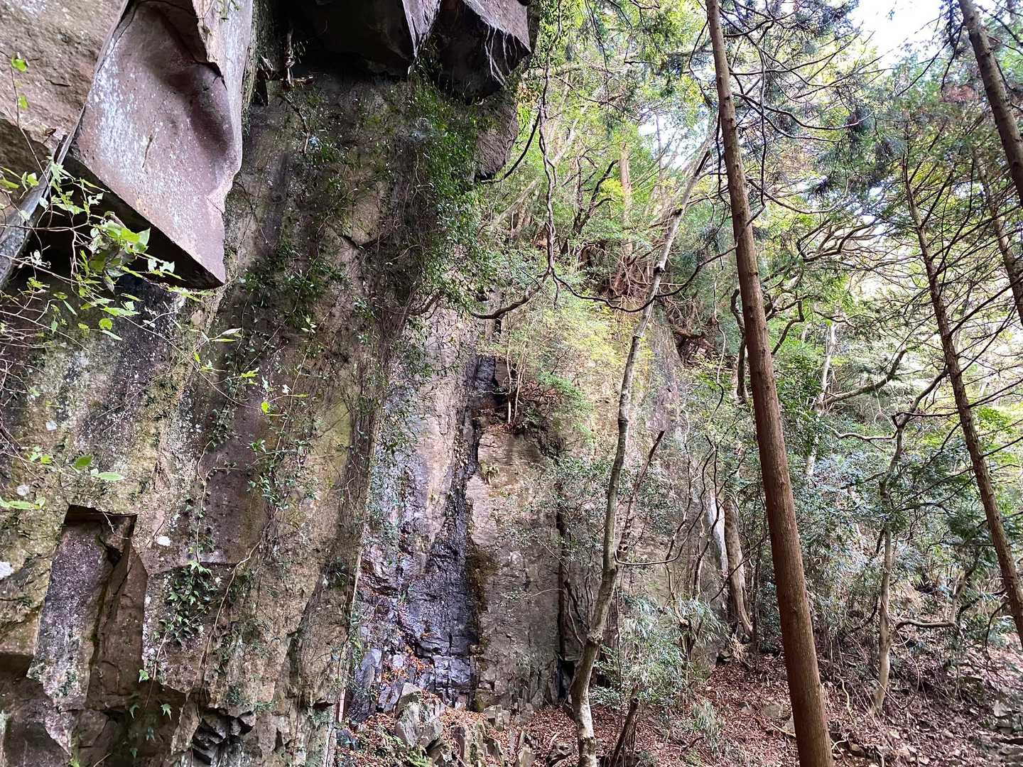 求菩提山 周回コースの写真