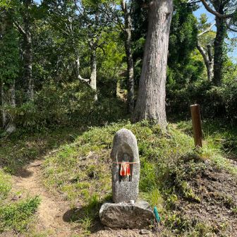 氷ノ越に到着。
鉢伏山と氷ノ山山頂との分岐点のようです。
赤倉山のピークを取りに行きましたが正規ルートはなく、“勝手道”でしたので断念しました。