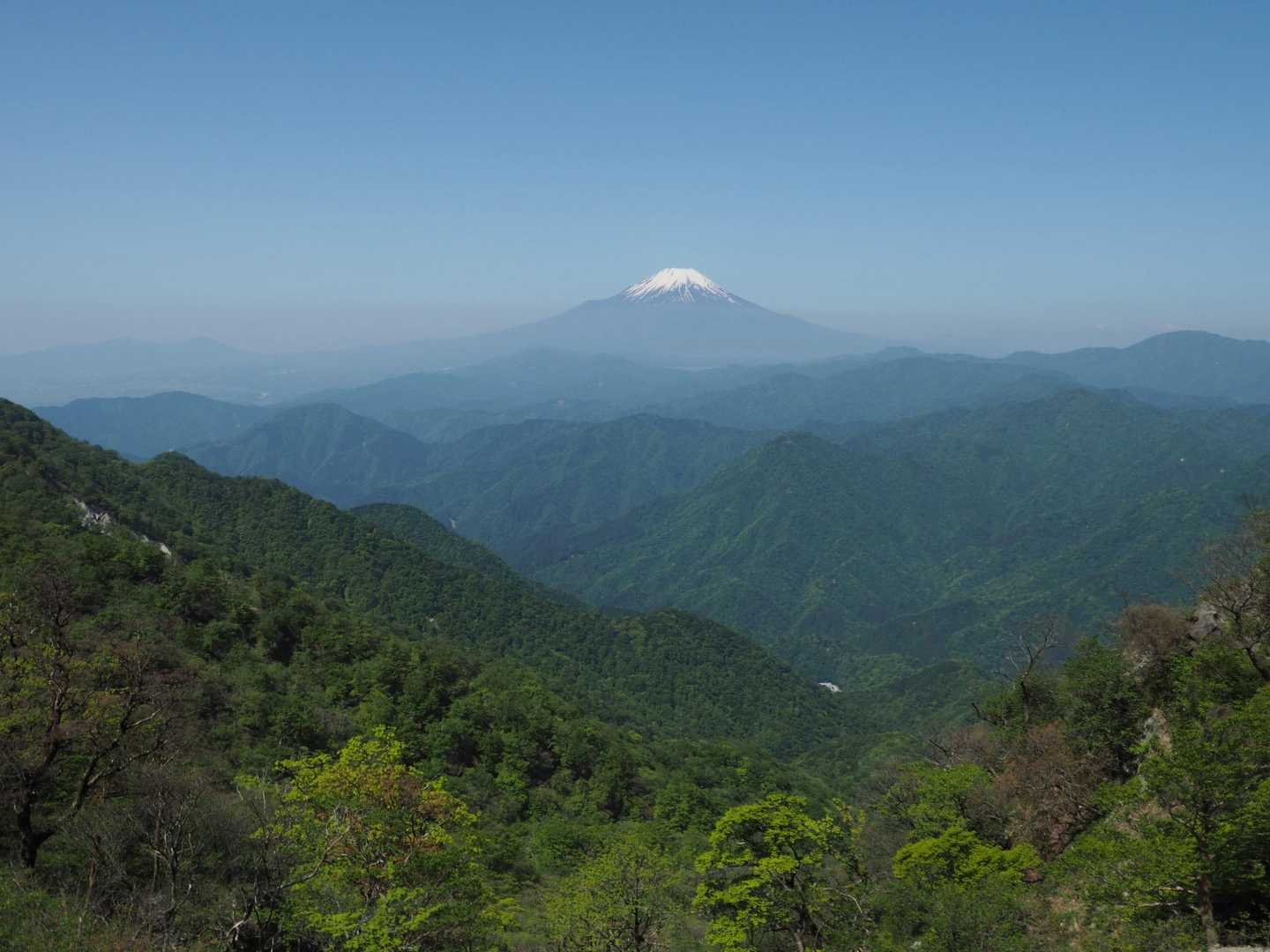 歩く左手に、いつも見える富士山