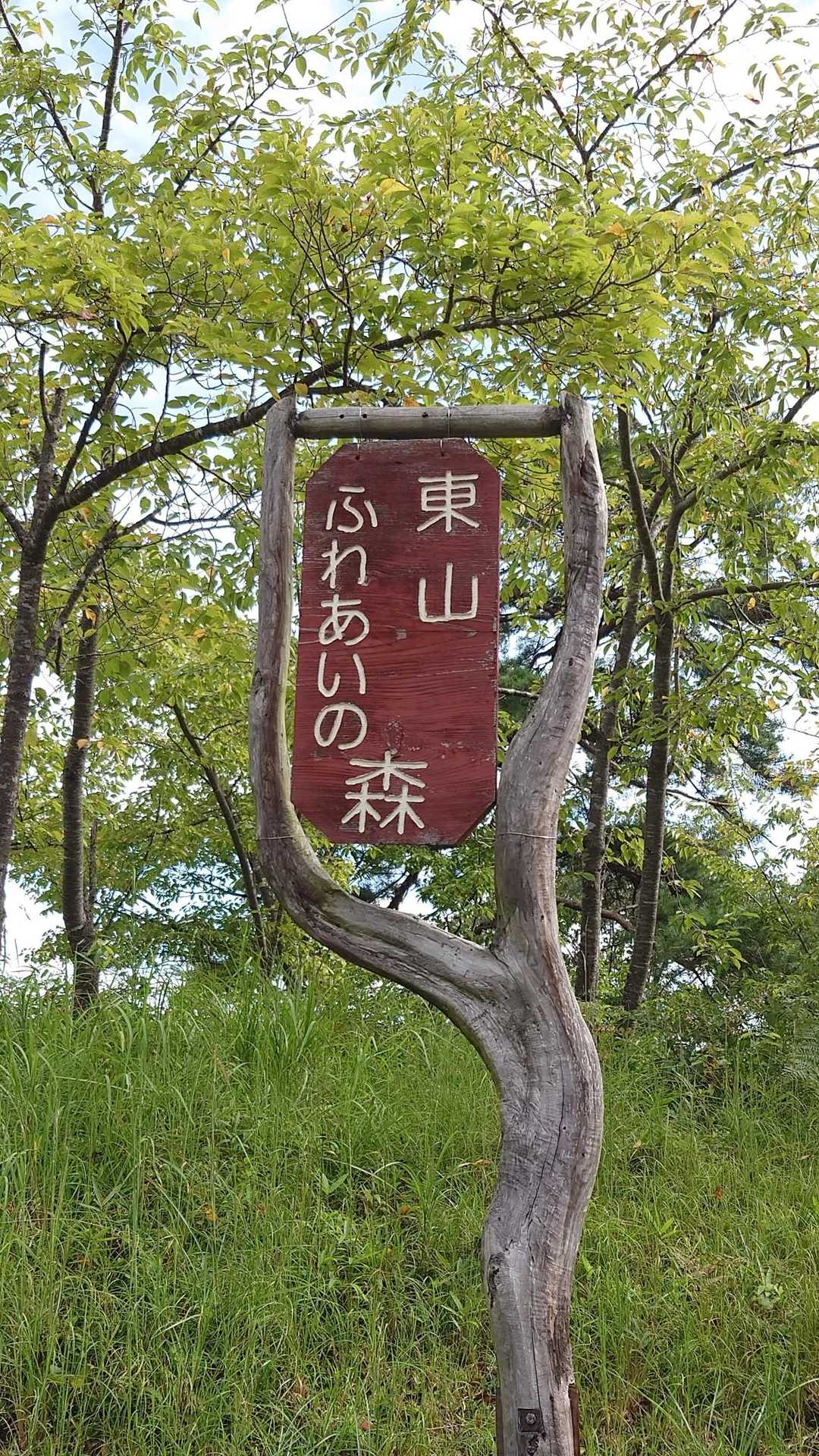 東山 往復コースの写真