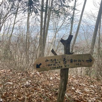 えぼしに到着！！
小沢峠への分岐にもなります。
駒沢山に行った後は、ここを降りていきます。