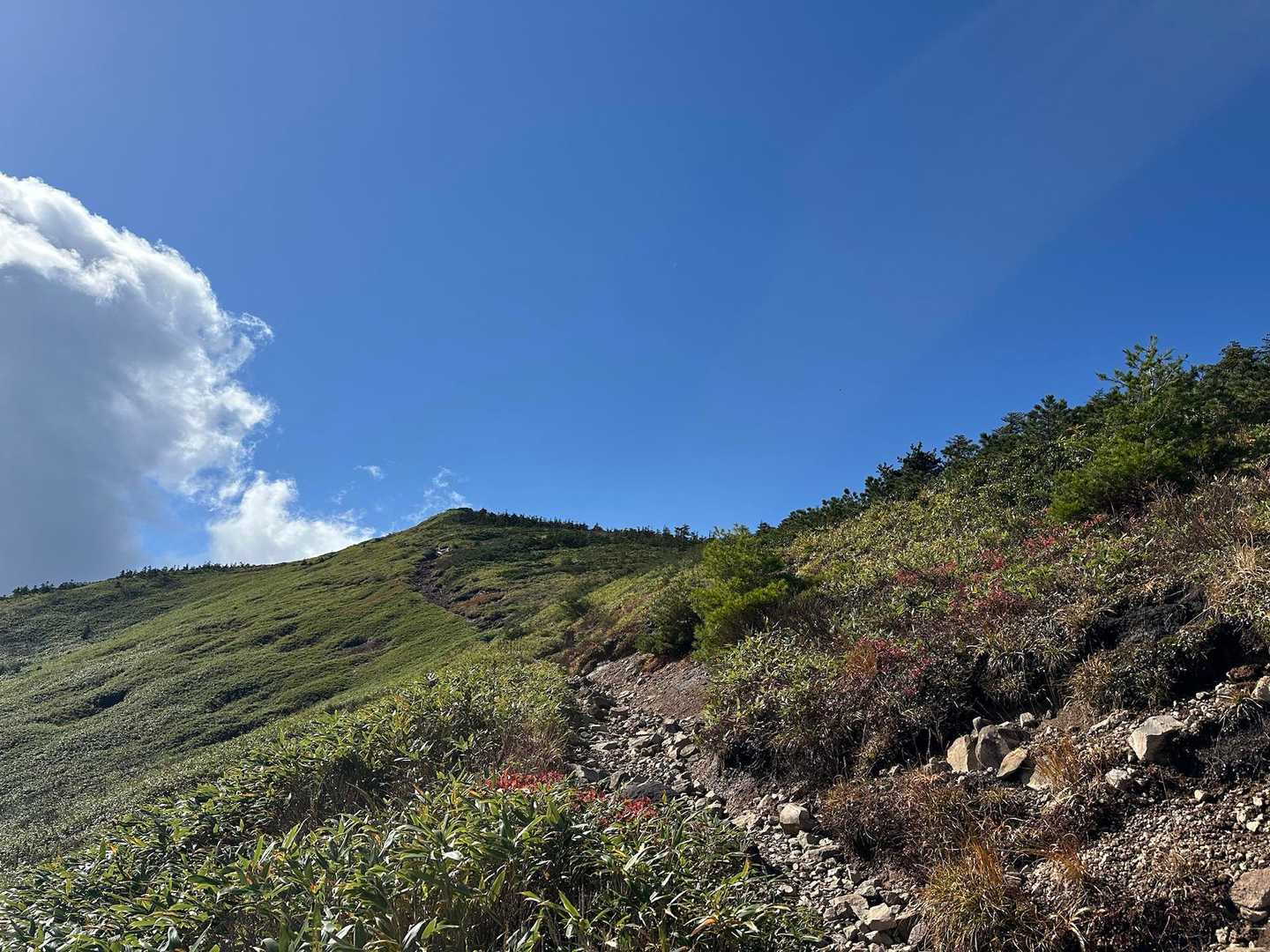 ちょっと月山ぽい🧐