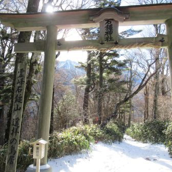 登山アルアル✨
山頂見えてます