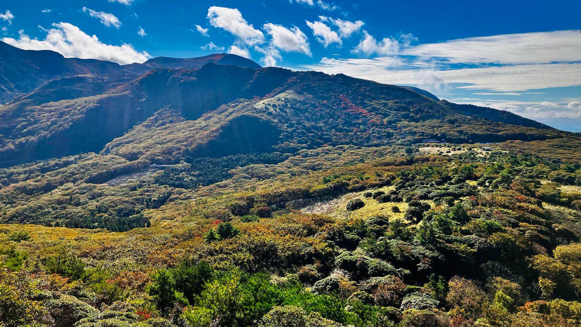 などと、しょうもない話しながら下山🚶