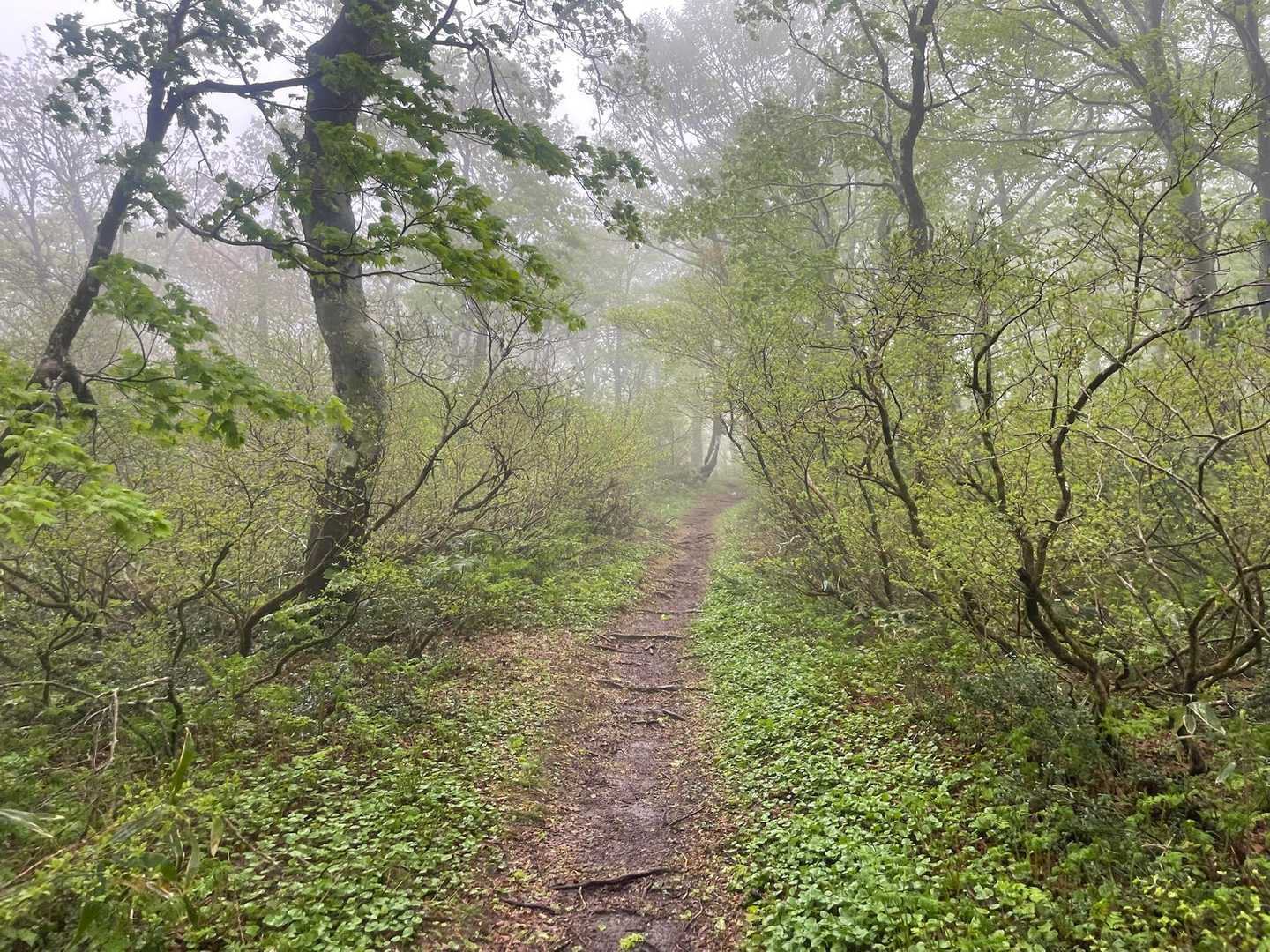 とりあえず山頂に行っときますか😁