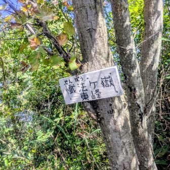 メインルートに戻り、懴法ヶ嶽（東峰）