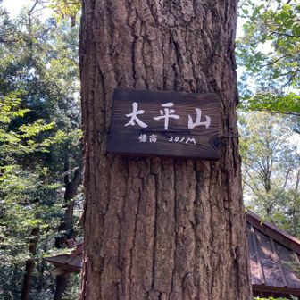 大平山　341m