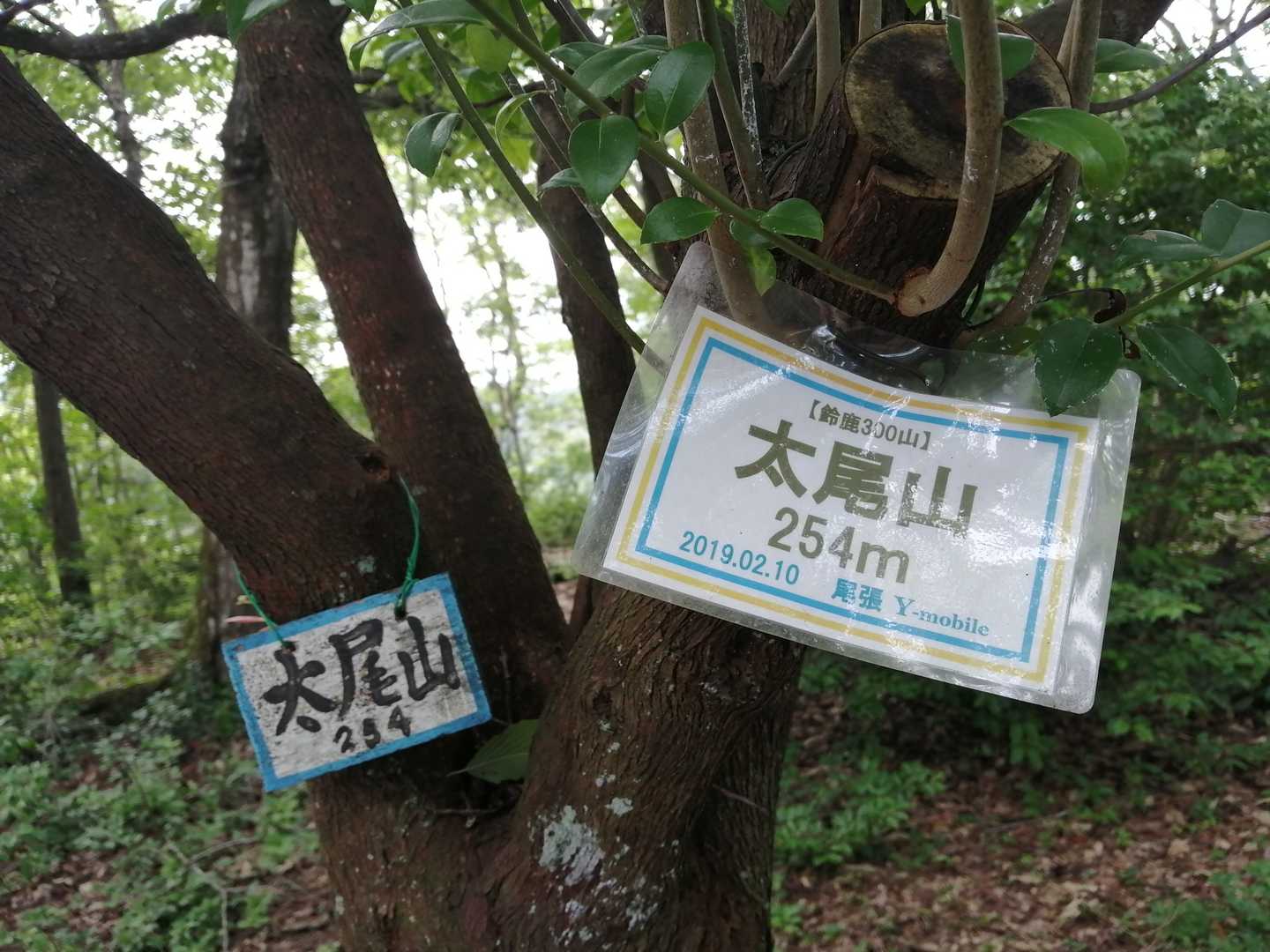 すぐ横に山頂