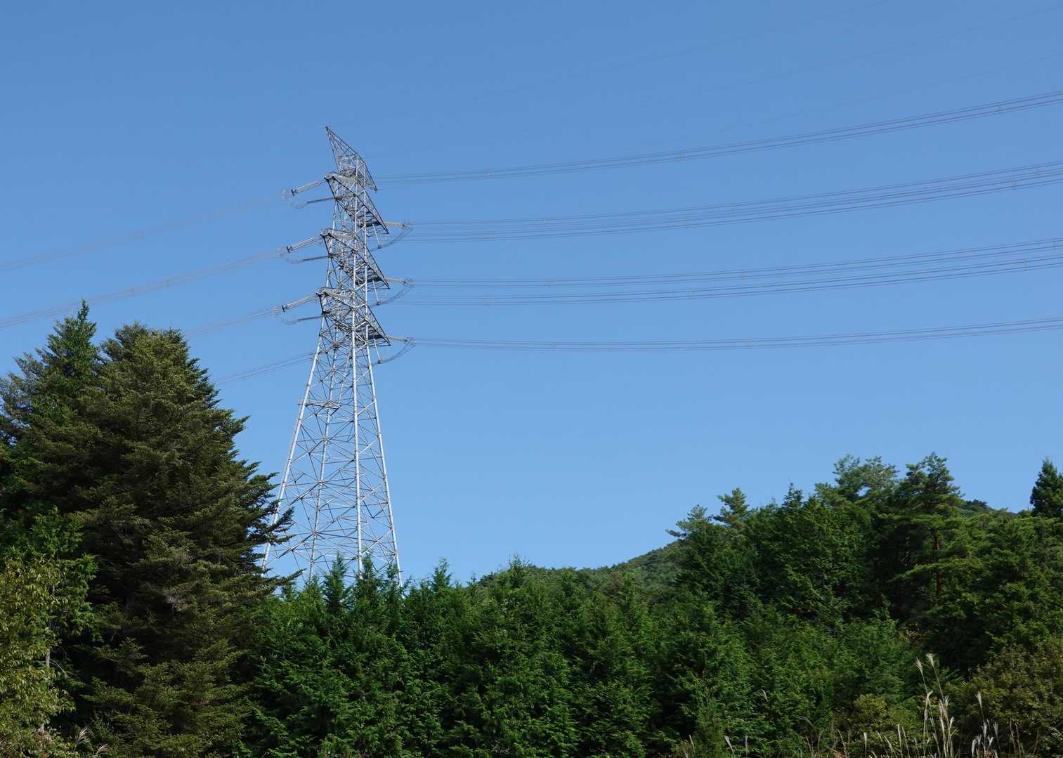 快晴。空は抜けるように蒼い。