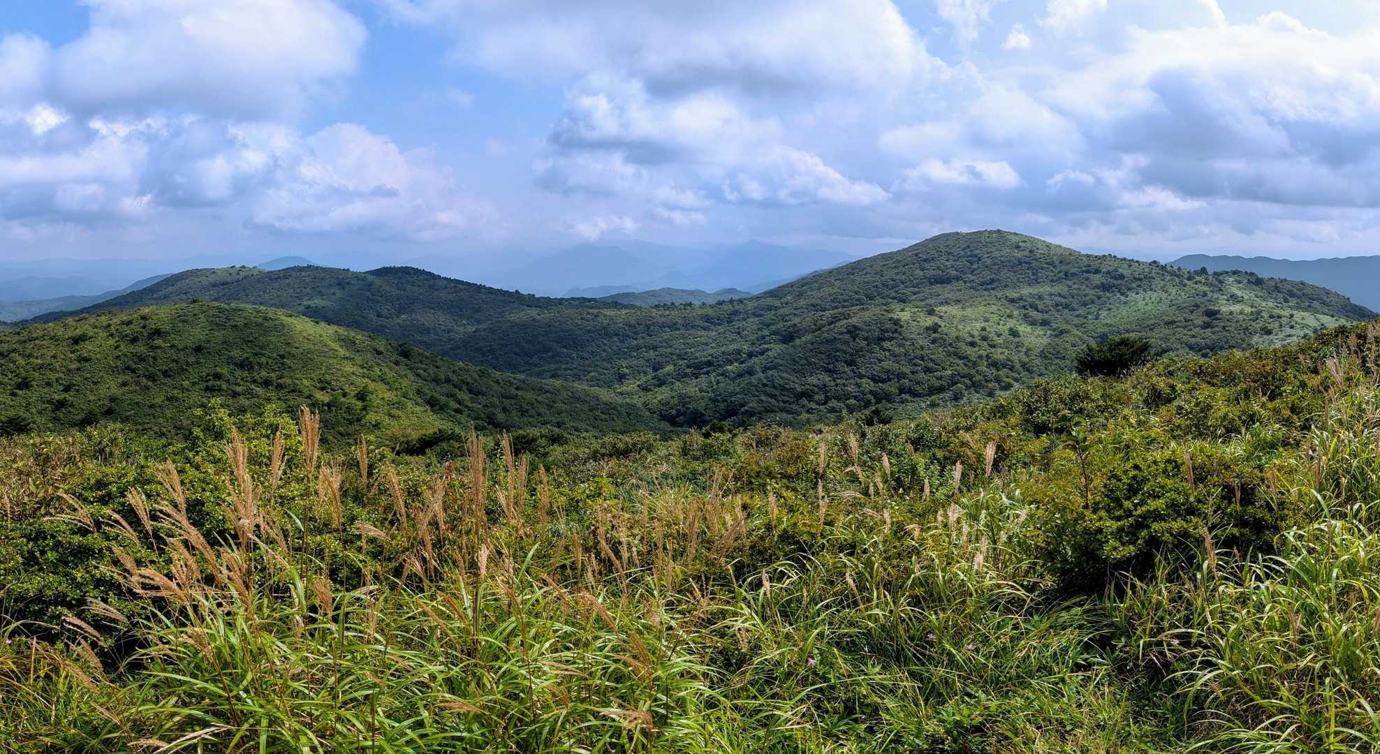 岩樋山からの景色
右に見えるのが道後山