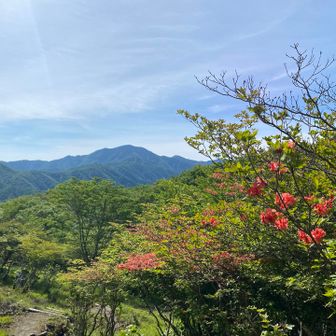 大菩薩嶺も手に取るように見えました