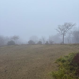 山頂に戻って来ましたが予想通り…
360°眺望の良い所のはずですが
熊出没🐻看板無かったけれど…
見通し悪いので下山します。