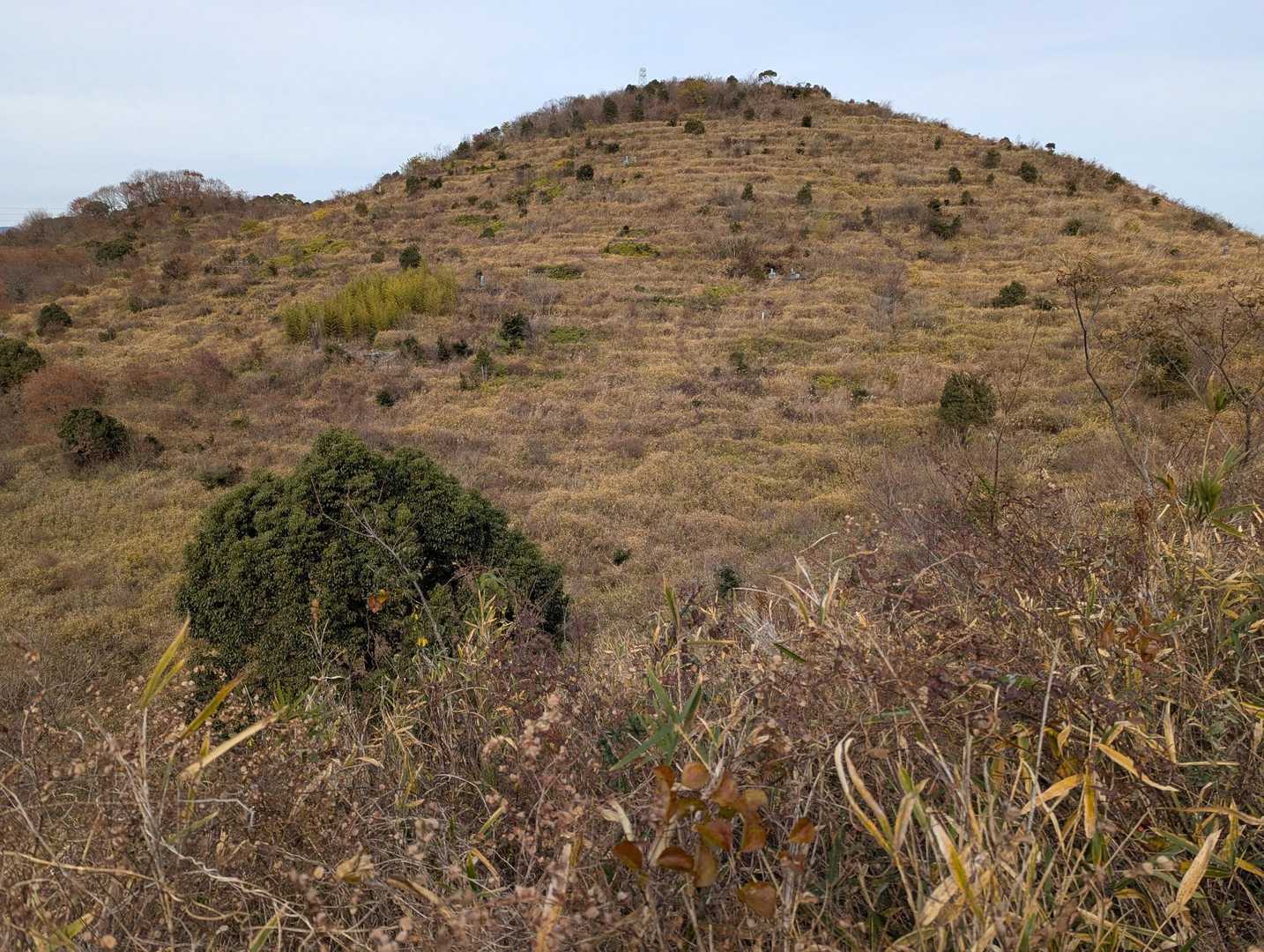皿ヶ峰-鷲尾山 往復コースの写真