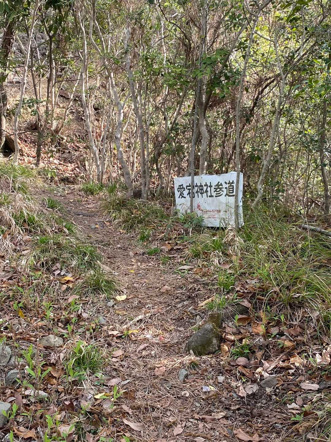 まだ長いよー🚶