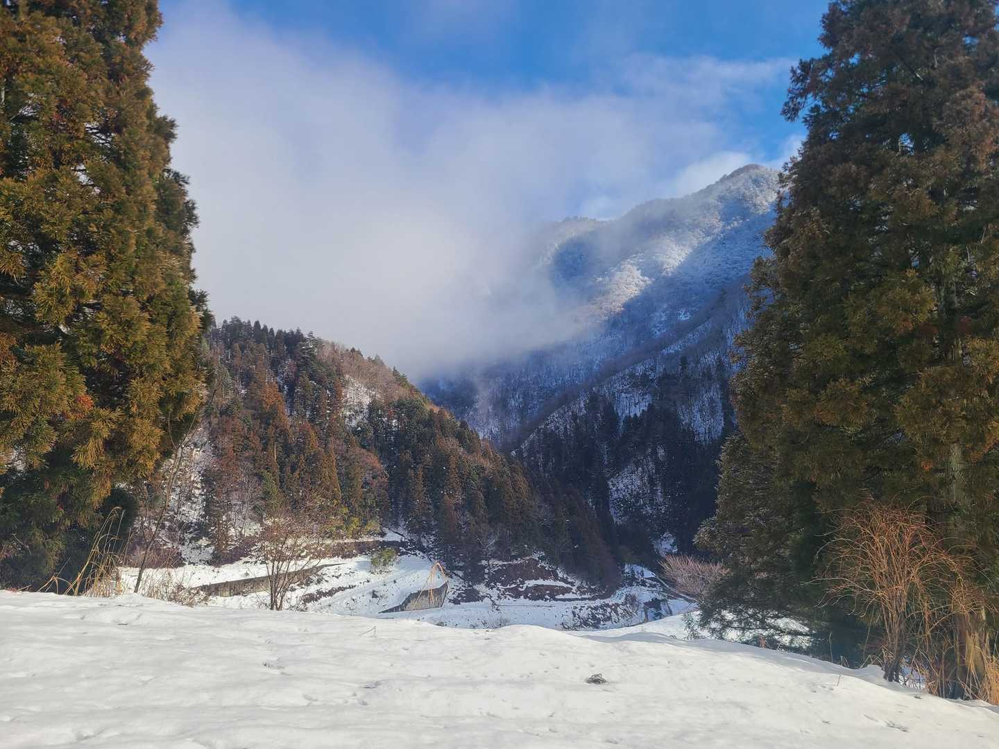 丁子山-湧谷山 往復コースの写真